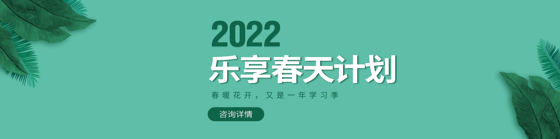 大鸡吧操大笔视频